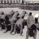 아낌없이주는나무 이미지