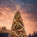 애정사 | 2025년 12월 무자월 무토일간 운세