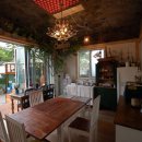 더하우스호스텔 이미지