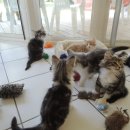 브리더하우스 이미지