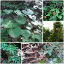 수천농장 이미지