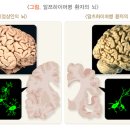 양생한의원 이미지