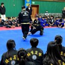 국술원합기도 의성도장 2관 이미지