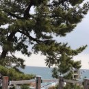 도깨비회수산 | 강릉 여행 코스 추천 주문진 수산시장, 도깨비 촬영지, 남애항 동선 완벽 정리