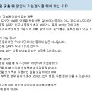 비엔나안경원 이미지