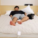 위드펫(with pet) | 나비엔 숙면매트 카본 EME650D 강아지매트 카본매트 위드펫