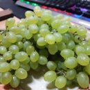 유기농일번지 이미지