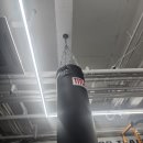 코리안탑팀 강서 이미지