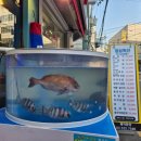 어사출또 이미지