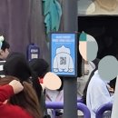 파라오노래광장 | [공지] 4월 3일부로 새로 오픈한 롯데월드 메이플아일랜드 솔직리뷰 (f. 놀이기구 고장)