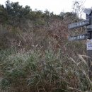 삼남상회 네이버블로그