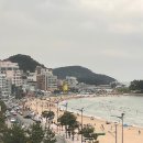 핍스커피 | 송정 오션뷰 맛집 핍스플로어에서 즐기는 해물장