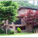 모닝펠리스 이미지