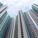 세무법인석성지사