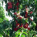 아름다운 항해 이미지