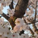 신세계마트 이미지