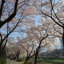 신안아파트후문 이미지