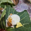 옥암농장 이미지