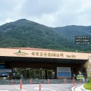 석정목장 이미지