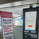콤보게임스토리 | 마인크래프트 영화 관람 후기 &amp; 피규어콤보 세트(+롯데시네마 대구율하점 주차정보)