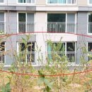 봉재산로 이미지