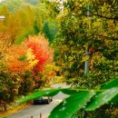 계족산로 이미지