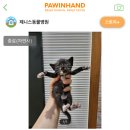 제니스동물병원 이미지