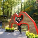 장태산휴양림 이미지