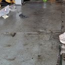 로얄자동차전문정비 이미지