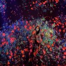 물밑목장 | [제주3일차] 협재해수욕장,금오름, 새별오름,아르떼, 양떼목장