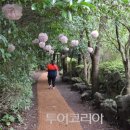 제주유유자적 투어코리아