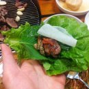 오늘은오리먹는날 이미지