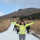 그대발길머무는곳에 이미지