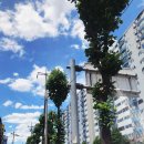 하기수내과의원 이미지