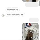 마루약국 | 여행 전 일상 털어내기