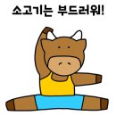 신진한우