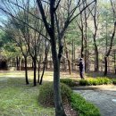 늘푸른약품 이미지