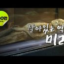 19세기 프랑스인이 바라본 조선의 모습 이미지