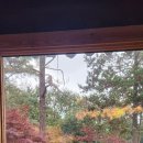 수희재 한옥펜션 이미지