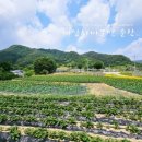 대가주천 이미지