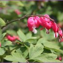 추억의 팝송 이미지