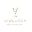 더마더메이드