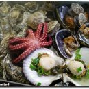 바다가고향 이미지