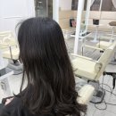 김포시청 | [ 김포 사우동 미용실 ] 김포 레이어드컷/펌 전문, 에이바헤어 김포시청점 프리미엄 클리닉 후기