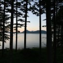 호수주유소 이미지