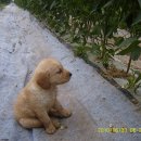 새벽아침농장 이미지