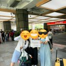 코땅 펫택시 | 이용, 발리 스미냑 루미노르호텔, 빈땅마트, 아이언페어리 후기 내돈내산, Seminyak Luminor HOTEL Legian