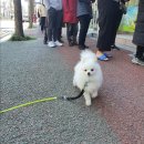 장수한약국 이미지