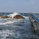 평해목장 이미지