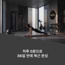 루틴